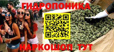 spice Балашиха