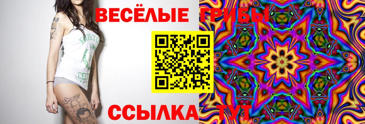 Псилоцибиновые грибы MAGIC MUSHROOMS Вятские Поляны